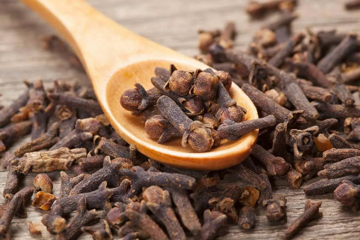 Cu un ingredient comun din bucătărie: secretul pentru a elimina definitiv furnicile din grădina ta