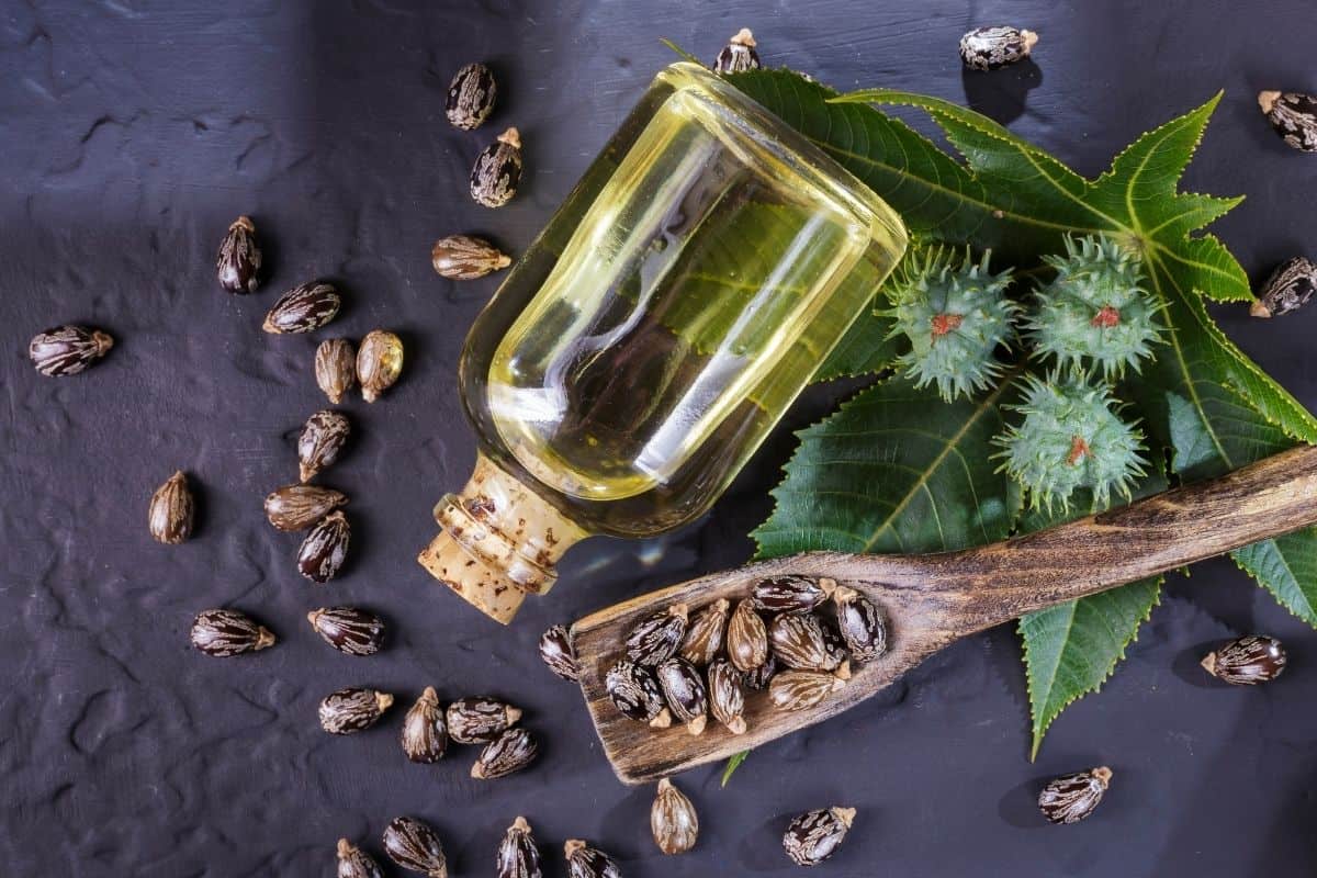 Nici măsline, nici floarea-soarelui: acesta este cel mai bun ulei pentru a-ți face genele să crească natural