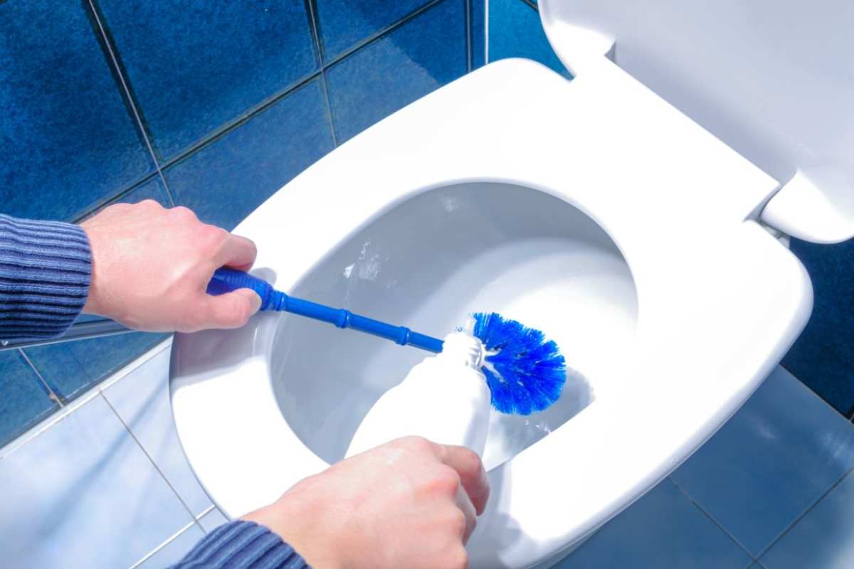 De ce se recomandă să torni apă oxigenată în toaletă o dată pe săptămână