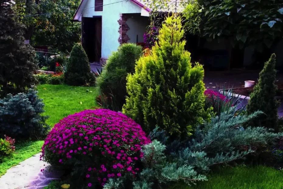 5 plante perene pe care să le plantezi în septembrie pentru o toamnă spectaculoasă