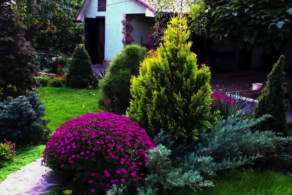 5 plante perene pe care să le plantezi în septembrie pentru o toamnă spectaculoasă